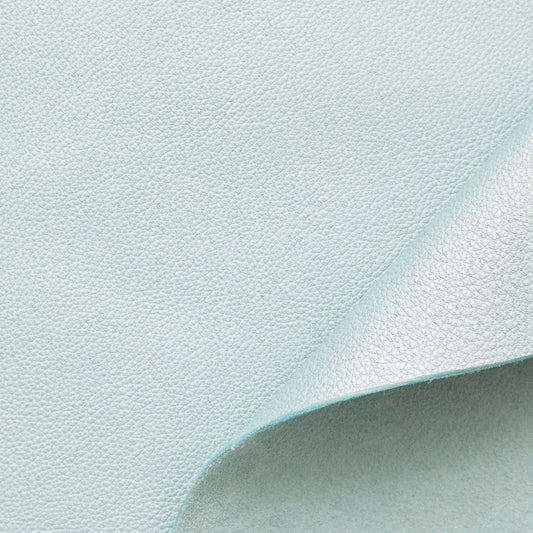 C24BV0023 | Full Grain Iridescent Grained Calf